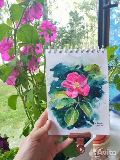 Акварельный рисунок Цветы розового шиповника