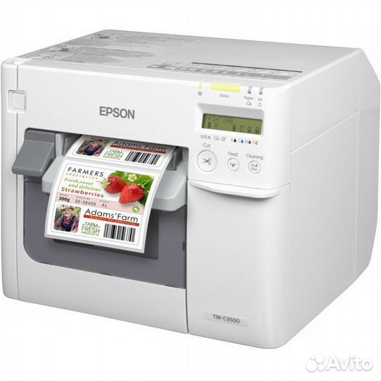 Принтер этикеток Epson ColorWorks C3500