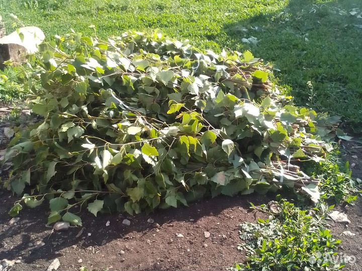 Дубовые двести, берёзовые стопесят, смесь двестипе