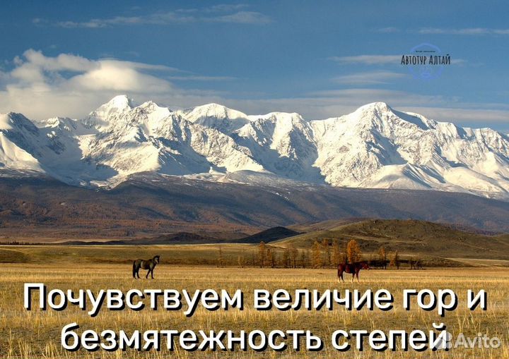 Туры на Алтай: Весь Алтай