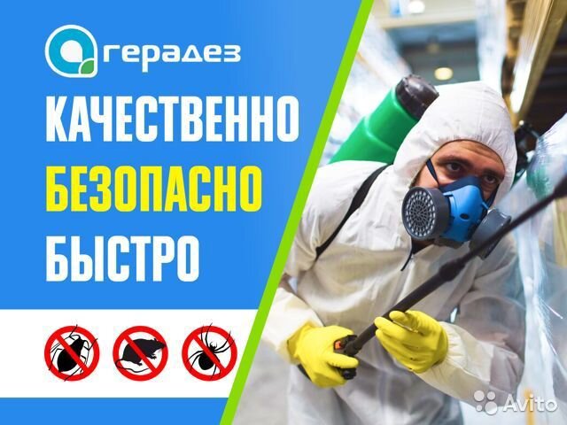 Дезинфекция от мух. Герадез орел. Герадез киров. Герадез киров. Герадез москва отзывы.