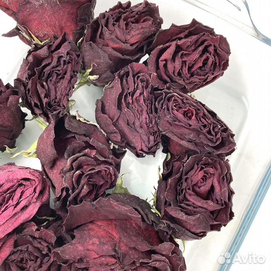 Сухоцветы розы, бутоны роз сухие