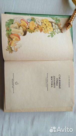 Книга Съедобные грибы Дальн вост Васильева 78 г