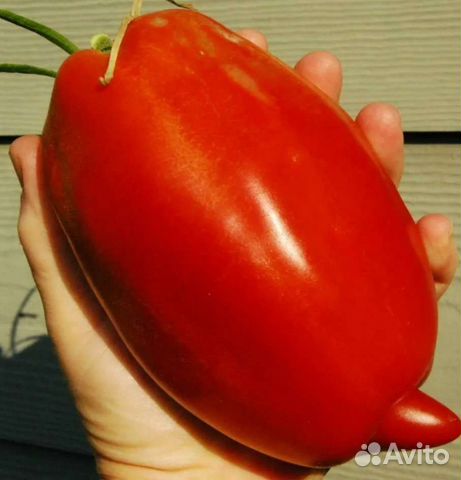 Томат Царский семена