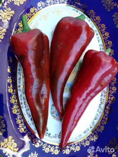 Семена перца (10 шт)