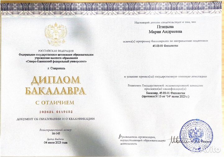 Репетитор по русскому языку