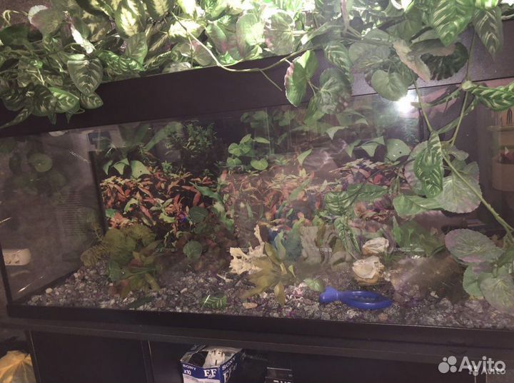 Аквариум Juwel 240 литров с тумбой