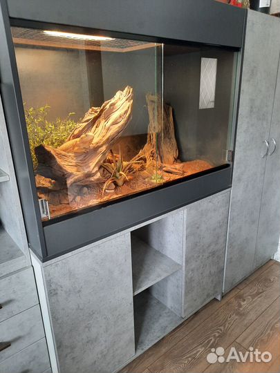 Террариумы на заказ