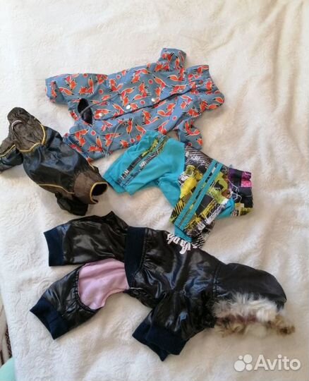 Одежда для собак пакетом