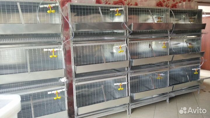 Клетки для кур, перепелов и др