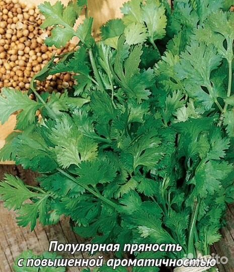 Кориандровый мед (мед с кинзы) 2023