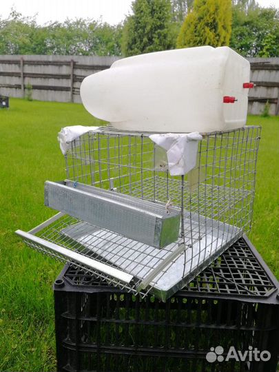Клетка для перепелов(на 10 птиц