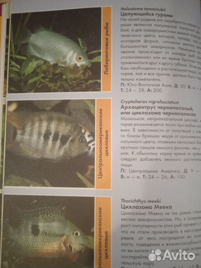 Книга про аквариум. Рыбки, водные растения
