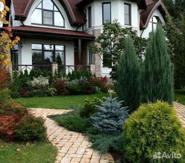 Укладка рулонного газона под ключ