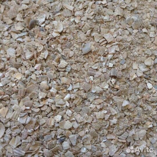 Ракушка кормовая