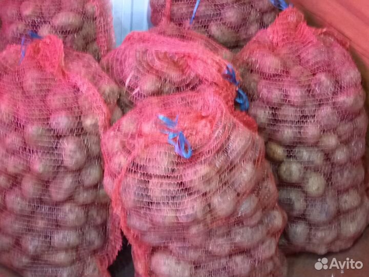 Продам картофель
