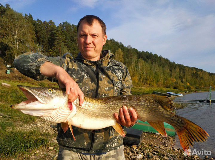 Рыбалка с гидом на Оке