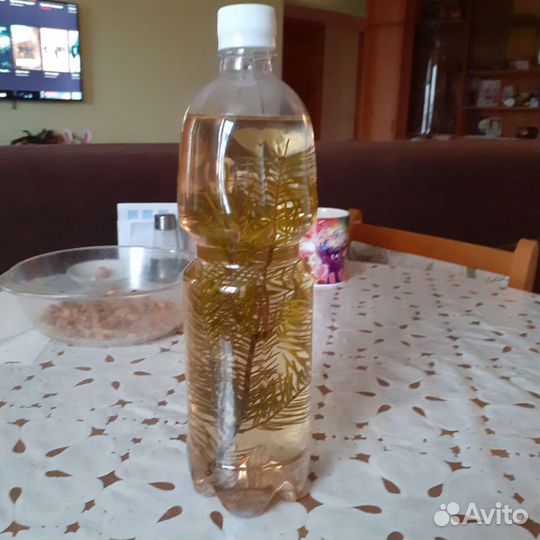Пихтовое масло