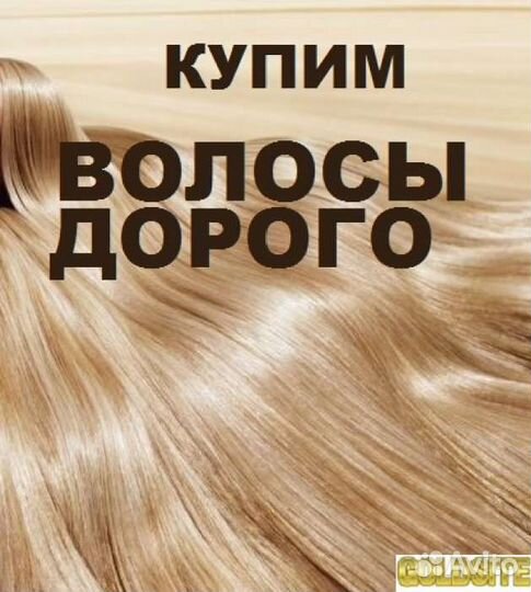 Скупка волос