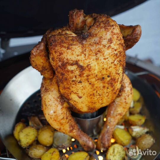 Угольный гриль яйцо Monolith Junior Pro Series 2.0