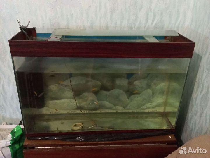 Аквариум