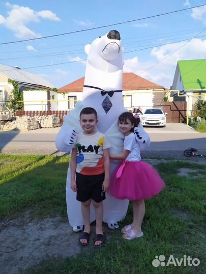 Мишки, Панда, поздравление, аниматор