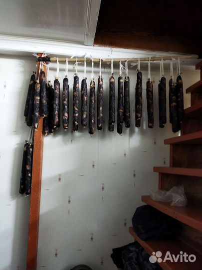 Казы конская