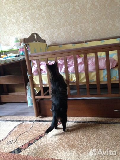 Детская кроватка с маятником