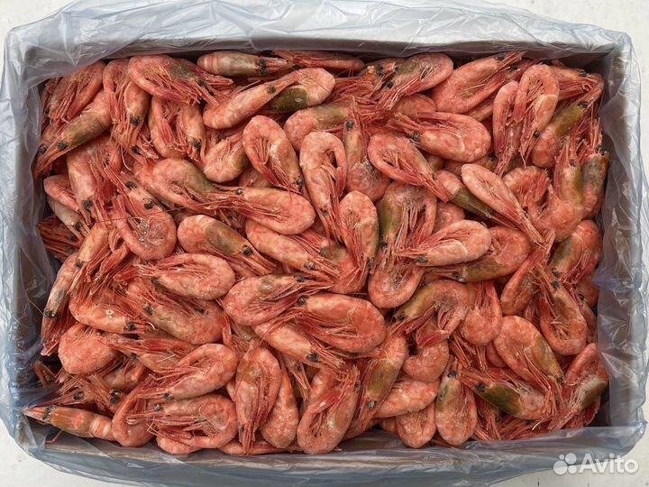 Креветка Северная 90+