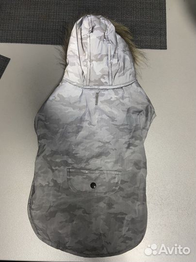 Одежда для собак