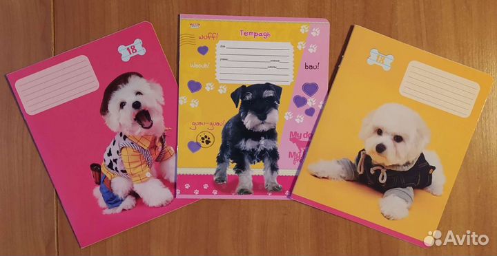 Тетради клетка, линейка. Папка