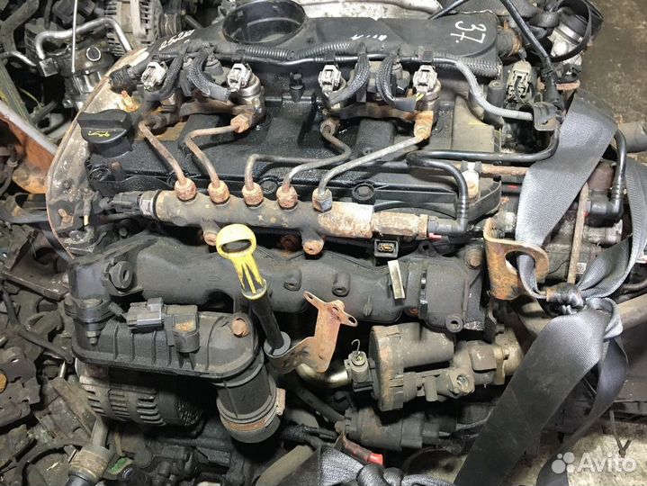 Двигатель ford transit 2008 qvfa 2.2 Дизель