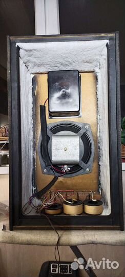 Ас 40-8 Виктория 001