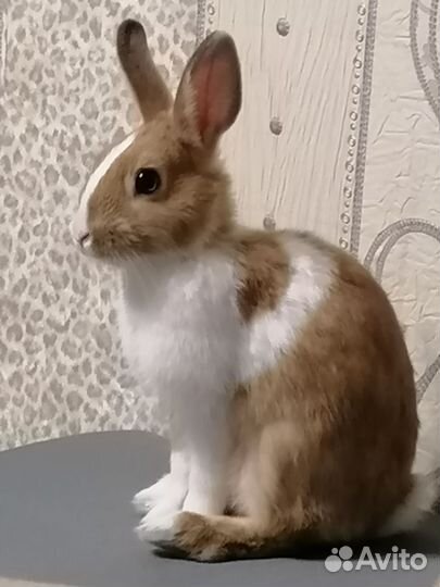 Декоративный кролик для вязки