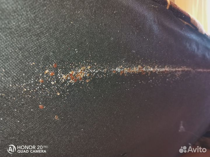 Уничтожение любых насекомых