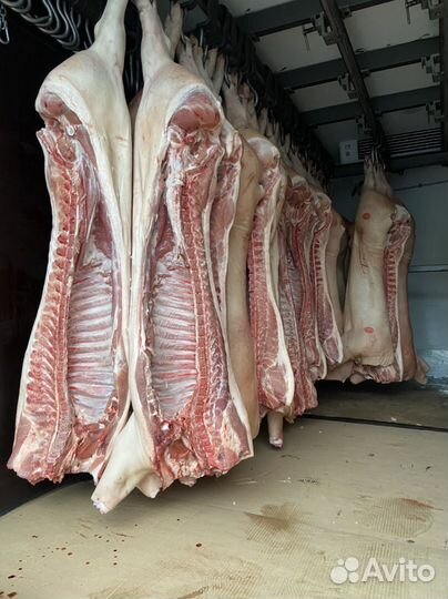 Мясо свинина оптом и в розницу