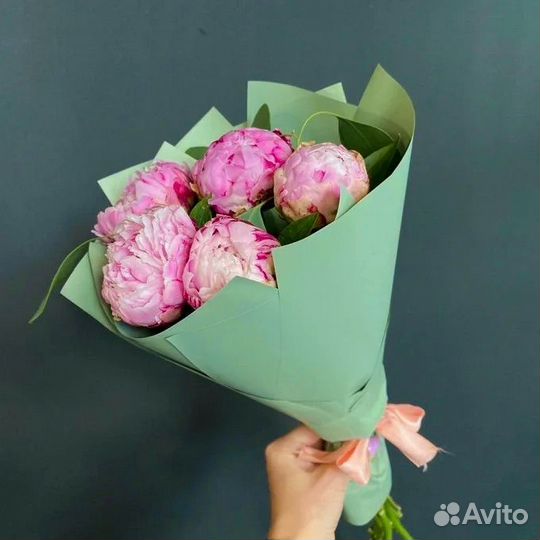 Цветы пионы