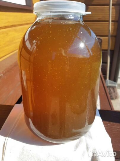 Продам мед с личной пасеки