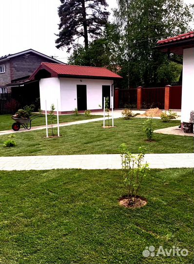 Рулонный газон 