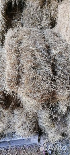 Сено в тюках