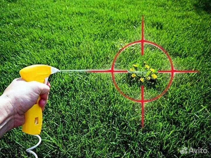 Профессиональное средство от сорняков