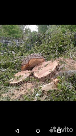Спил деревьев любои сложности