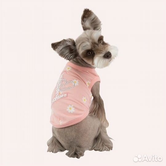 Pinkaholic футболка в цветочек с аппликацией и выш