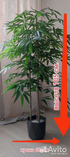 Бамбук искусственный