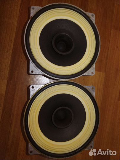 Динамики 10 гдш