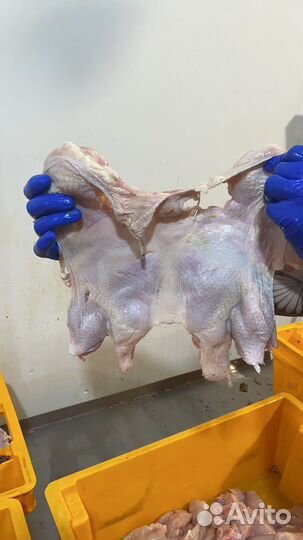 Куриная Шаурма «Халяль» гост