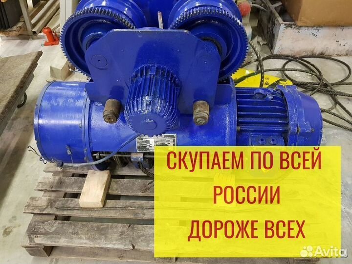 Тельфера болгарские