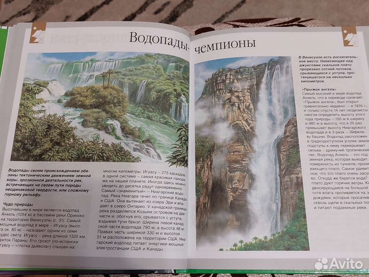 Энциклопедия Секреты природы