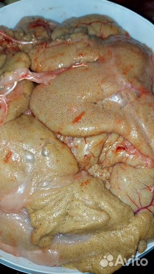 Икра леща свежая