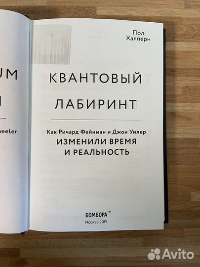 Квантовый лабиринт Халперн Пол